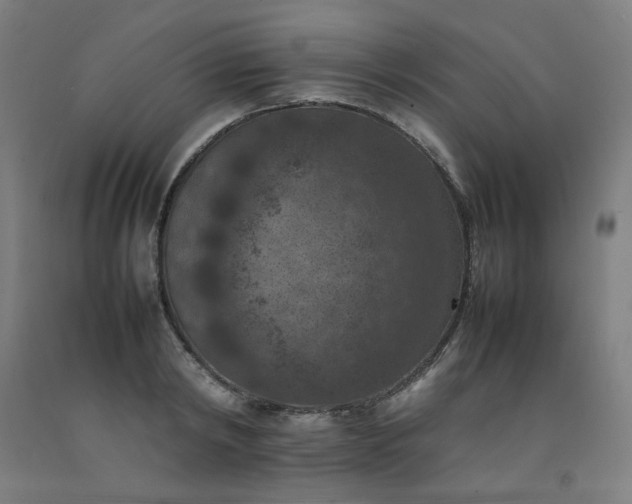 X0000092220798200709281042