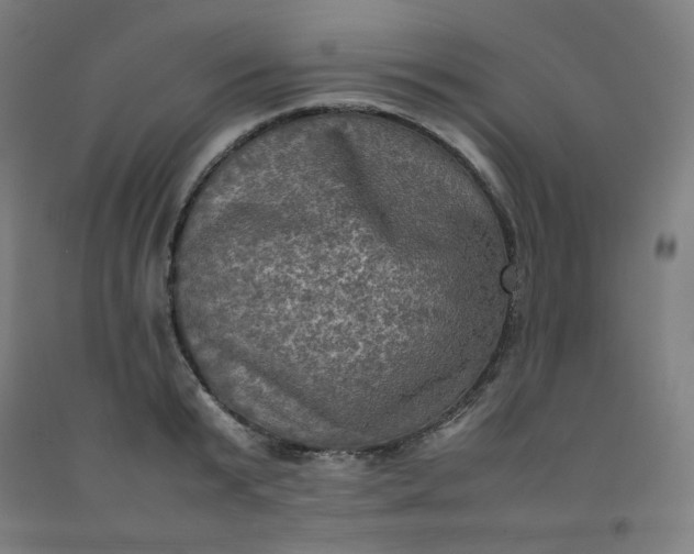X0000092220799200709281042