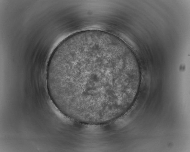 X0000092220800200709281042