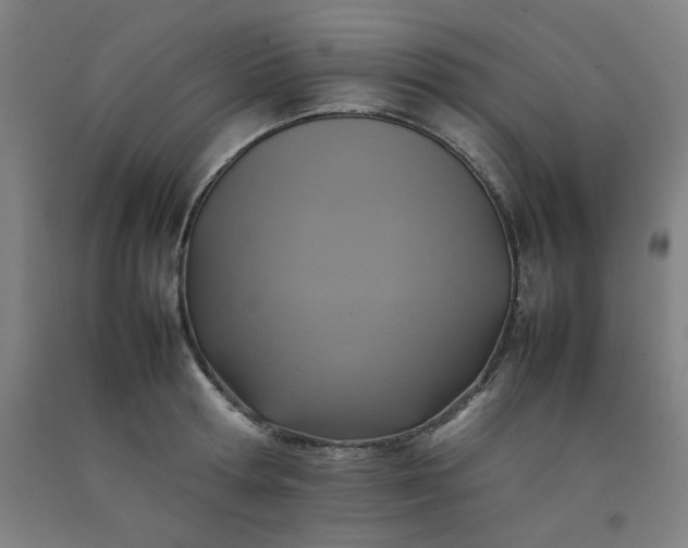 X0000092220802200709281042