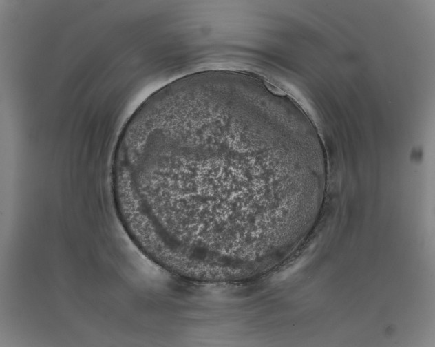 X0000092220803200709281042