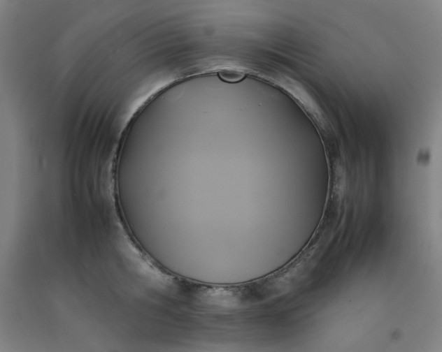 X0000092220806200709281042