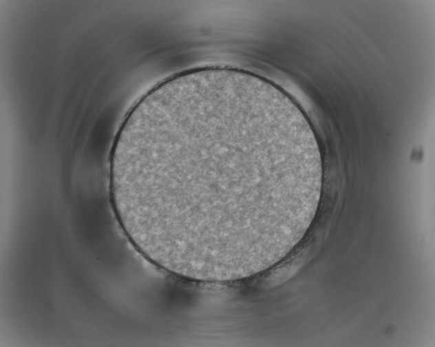 X0000092220807200709281042