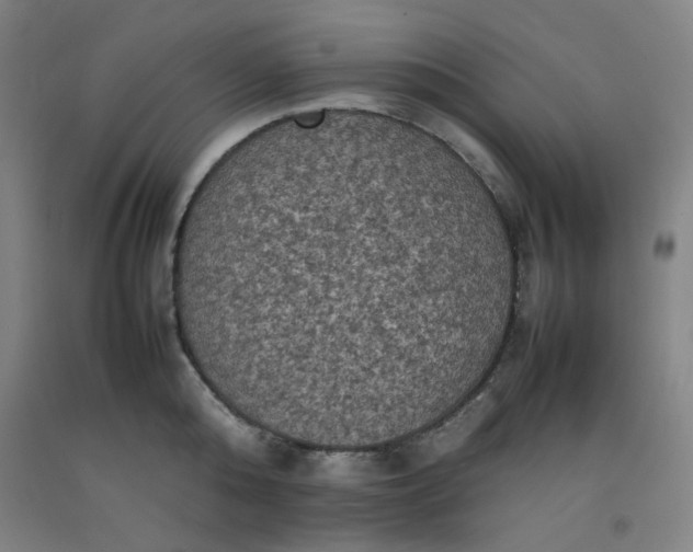 X0000092220808200709281042
