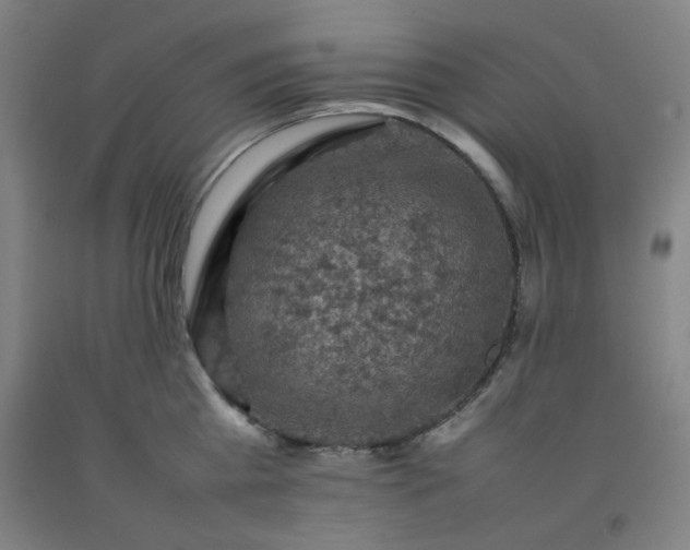 X0000092220809200709281042
