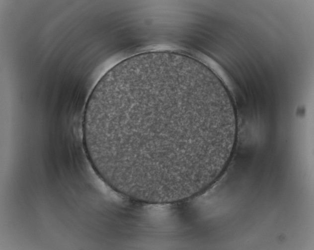 X0000092220810200709281042
