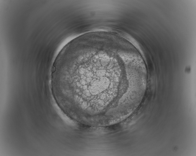 X0000092220811200709281042