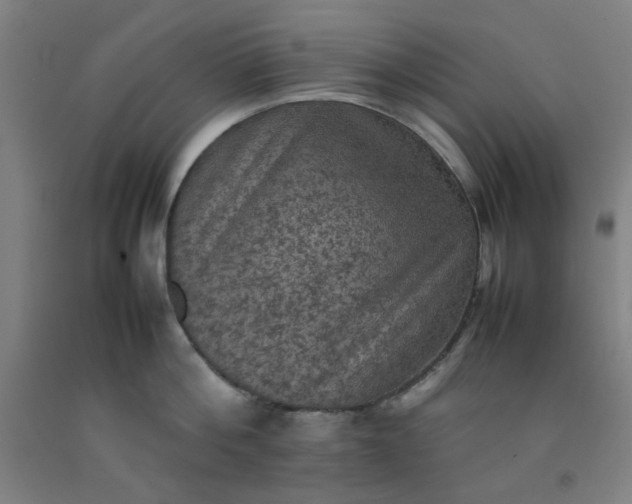 X0000092220812200709281042
