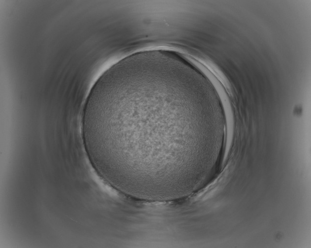 X0000092220813200709281042