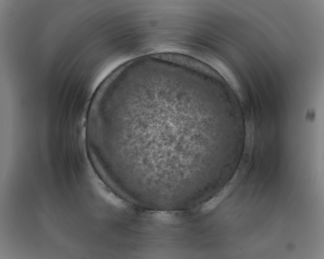 X0000092220814200709281042