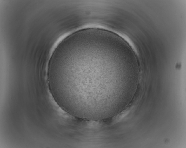 X0000092220815200709281042