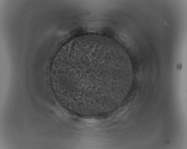 X0000092220817200709281041