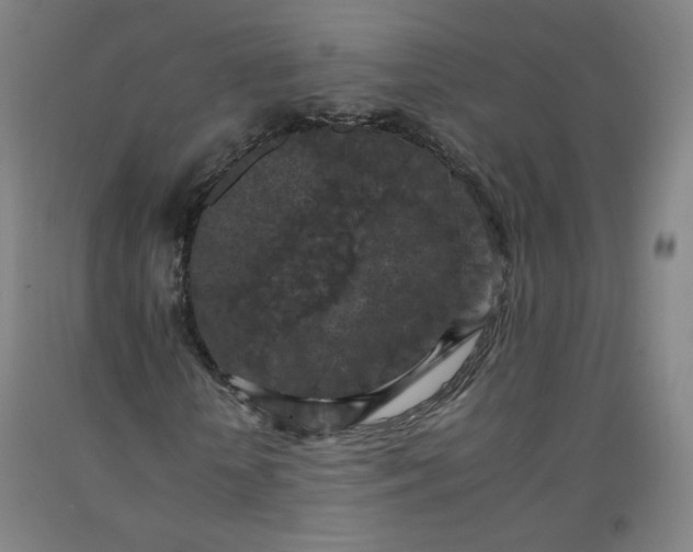 X0000092220818200709281041