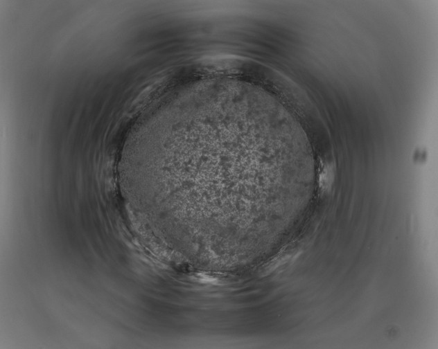 X0000092220819200709281041