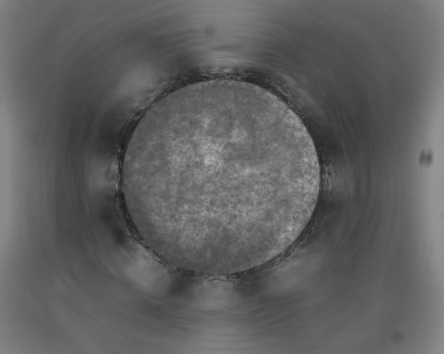 X0000092220820200709281041