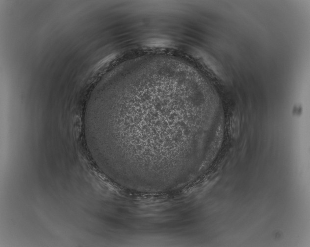 X0000092220821200709281041