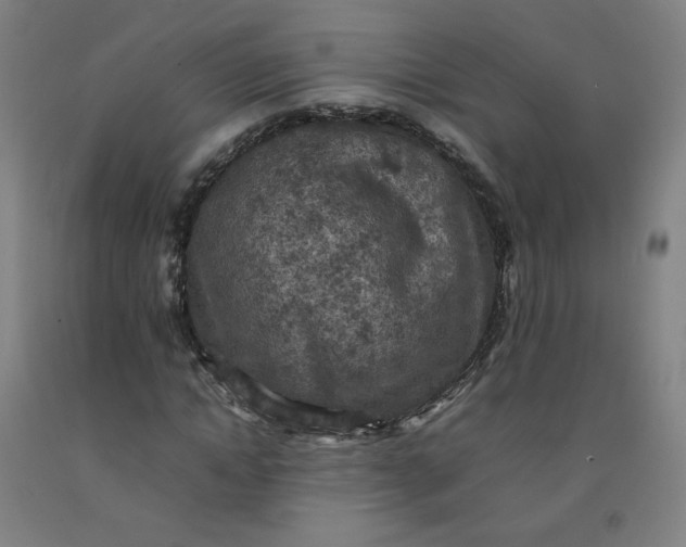 X0000092220822200709281041