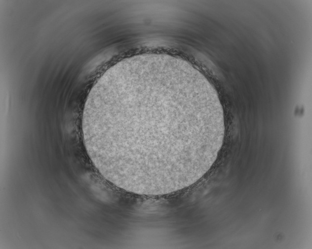X0000092220824200709281041