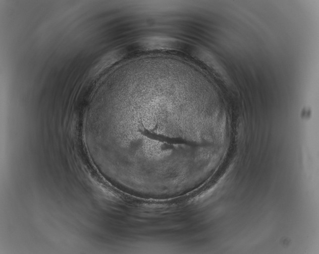X0000092220825200709281041