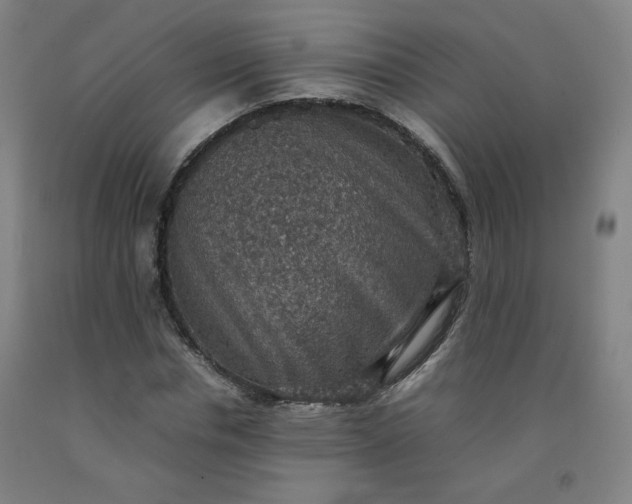 X0000092220826200709281041