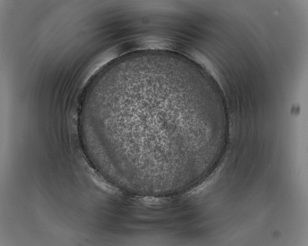 X0000092220827200709281041