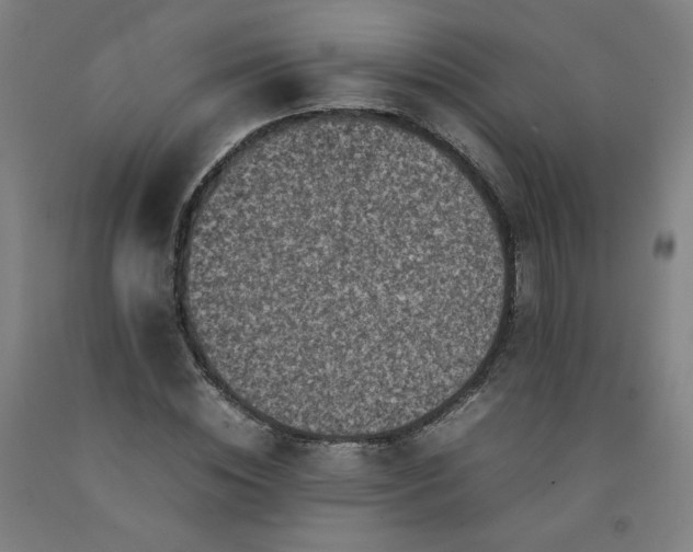 X0000092220828200709281041