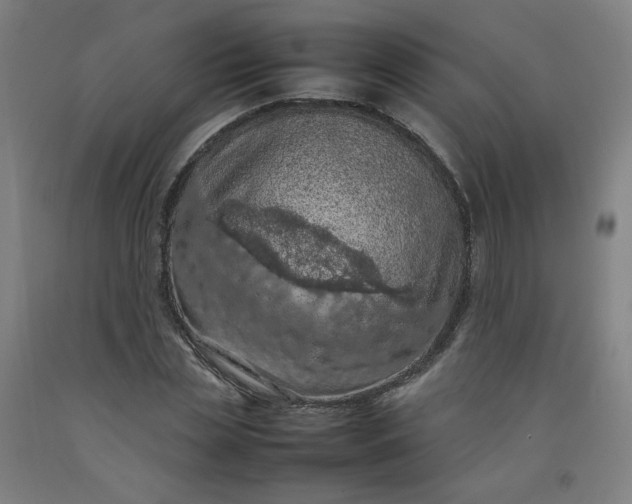 X0000092220829200709281041