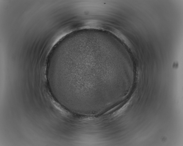 X0000092220830200709281041
