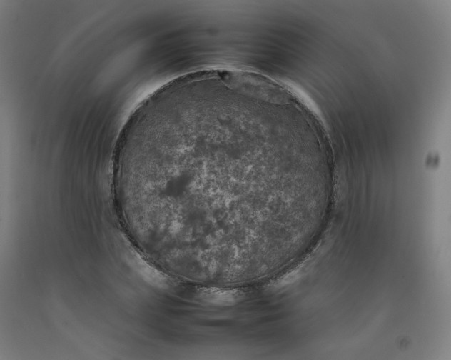X0000092220831200709281041
