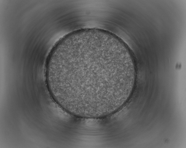 X0000092220832200709281041