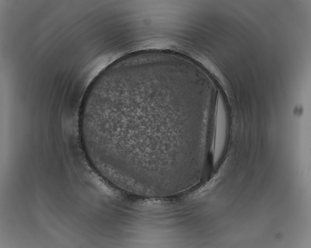 X0000092220834200709281041