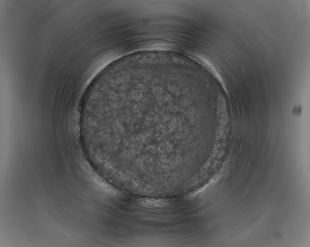X0000092220835200709281041