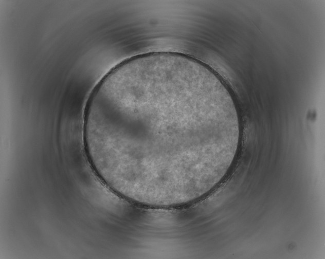 X0000092220836200709281041