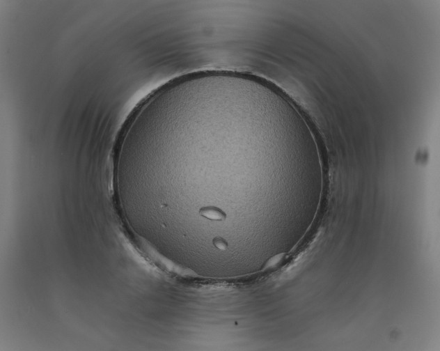 X0000092220838200709281041