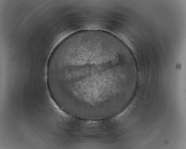 X0000092220839200709281041