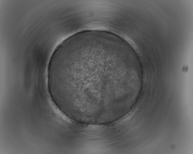 X0000092220840200709281041