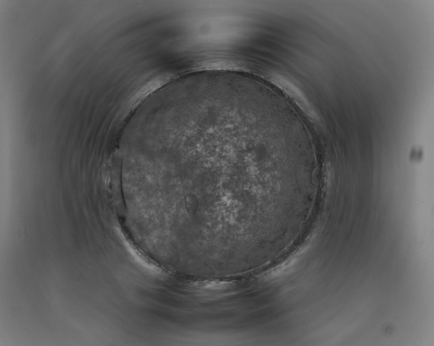X0000092220841200709281041
