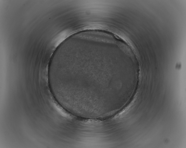 X0000092220842200709281041