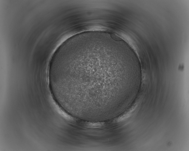 X0000092220843200709281041