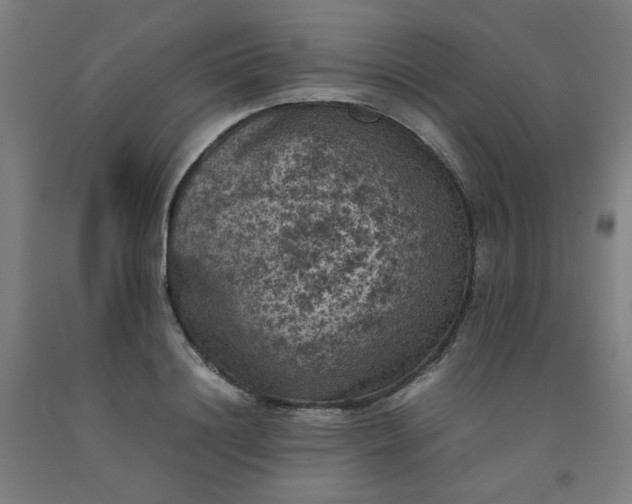X0000092220844200709281041