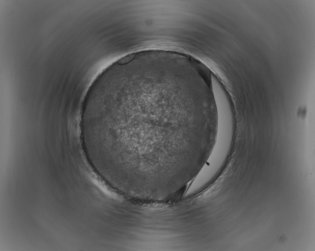 X0000092220846200709281041