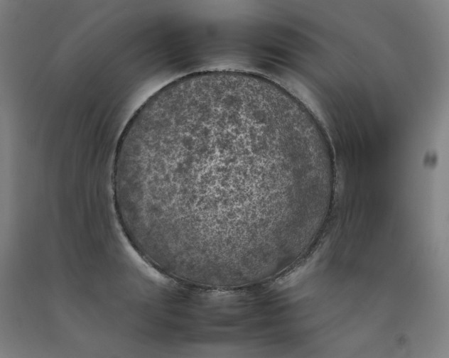 X0000092220847200709281041