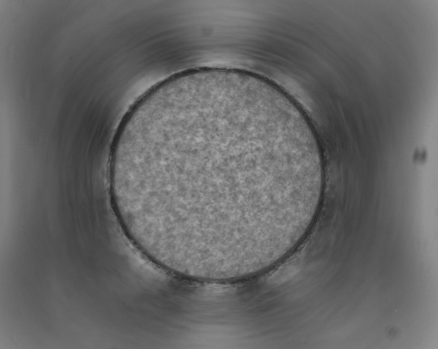 X0000092220848200709281041