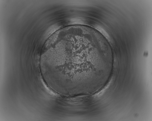 X0000092220849200709281041