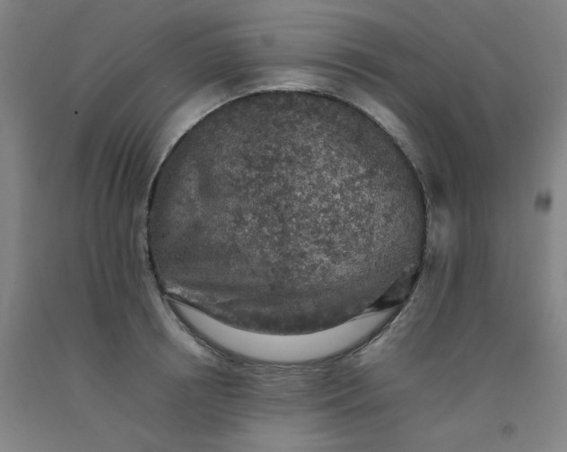 X0000092220850200709281041