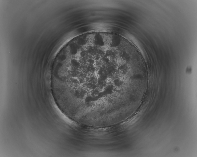 X0000092220851200709281041