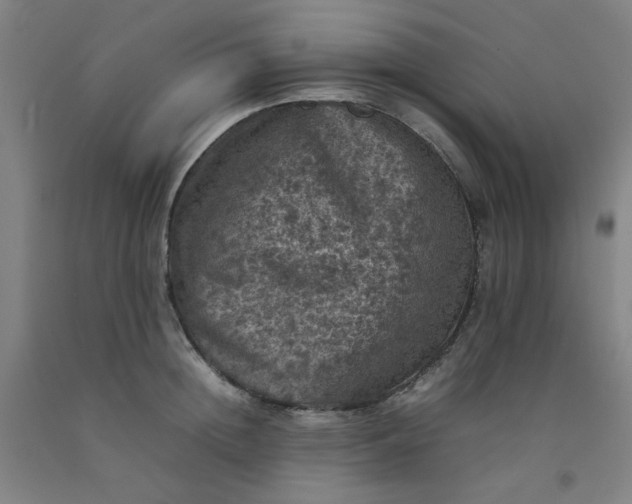 X0000092220852200709281041