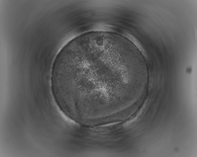 X0000092220853200709281041