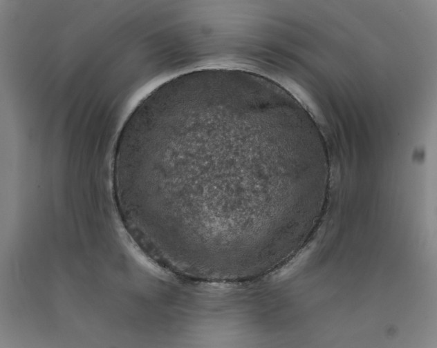 X0000092220854200709281042