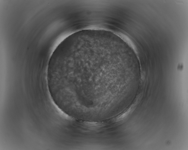 X0000092220855200709281042